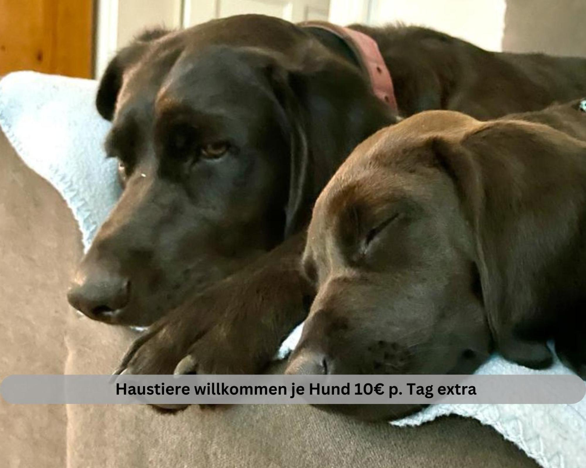 Lodge Of Africa - Einzigartige Themenzimmer, Eingezaeunten Garten, Sauna, Whirlpool & Kamin, Hunde Willkommen, Gasgrill, Voll Ausgestattete Kueche, Grosser Essbereich, Hamburg & Stade In Der Naehe Twielenfleth ภายนอก รูปภาพ