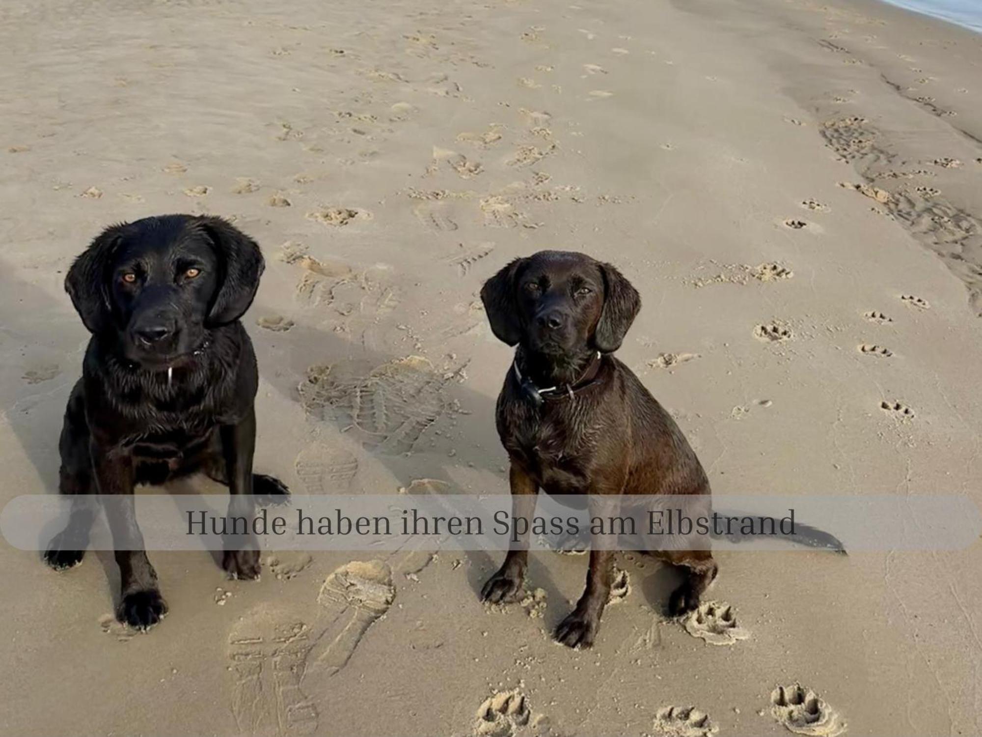 Lodge Of Africa - Einzigartige Themenzimmer, Eingezaeunten Garten, Sauna, Whirlpool & Kamin, Hunde Willkommen, Gasgrill, Voll Ausgestattete Kueche, Grosser Essbereich, Hamburg & Stade In Der Naehe Twielenfleth ภายนอก รูปภาพ